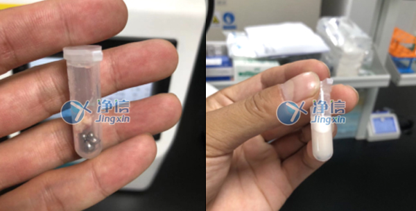 多樣品組織研磨儀助力解決老鼠肝組織的研磨實驗